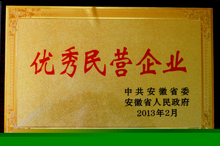 皖南电机：优秀民营企业