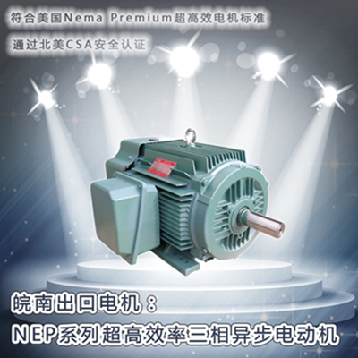 皖南电机-NEP系列超mk体育-mk体育官方网站-mksports