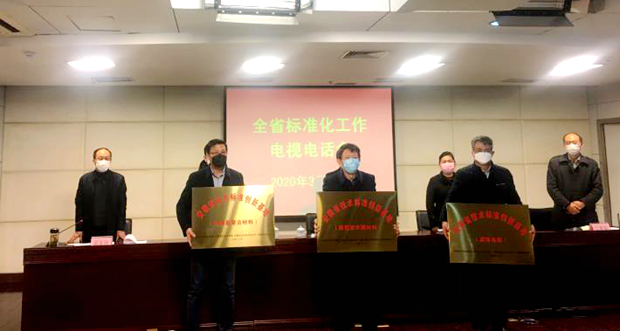 皖南电机获&ldquo;安徽省技术标准创新基地（mk体育-mk体育官方网站-mksports）&rdquo;标牌